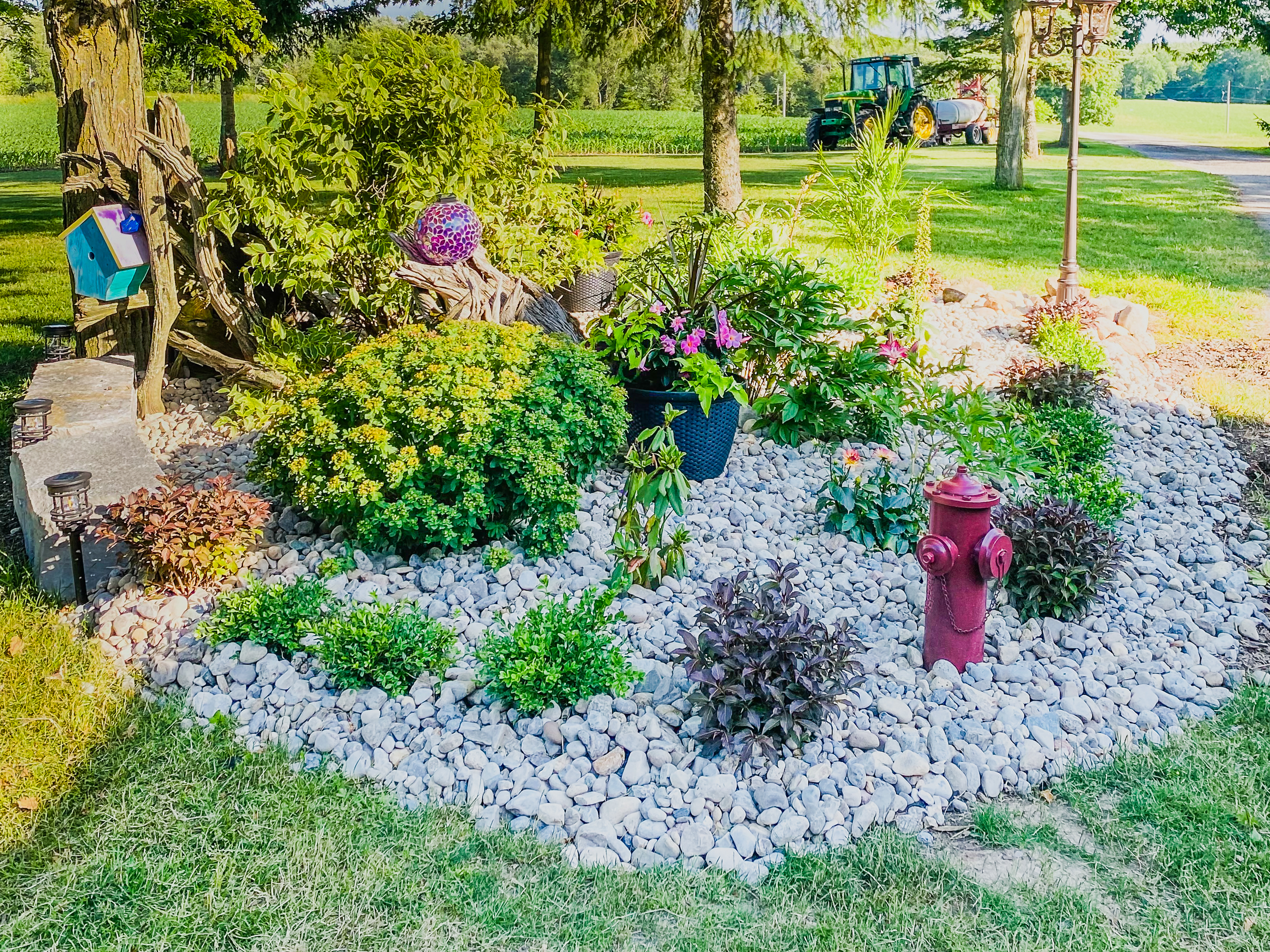 Rock Garden Carousel 1